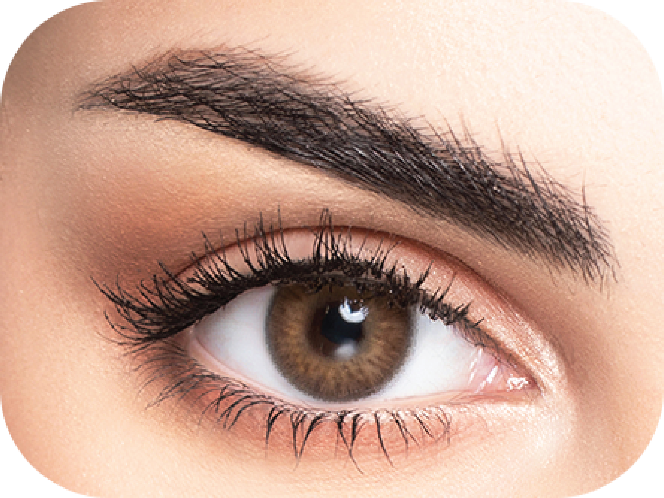 MyLense Oro Brown colored contact lens